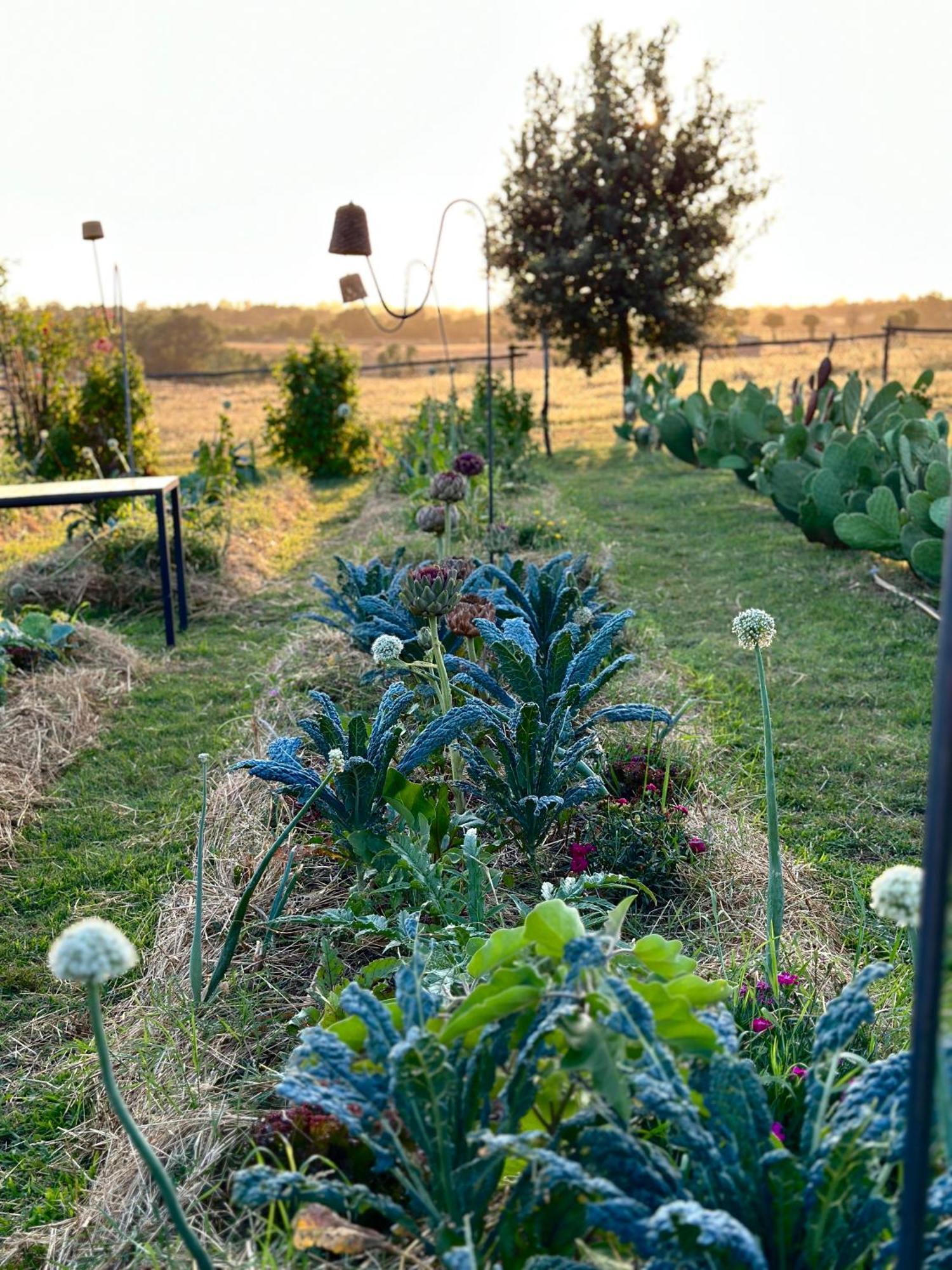 Tenuta Di Paternostro Vetralla Kültér fotó