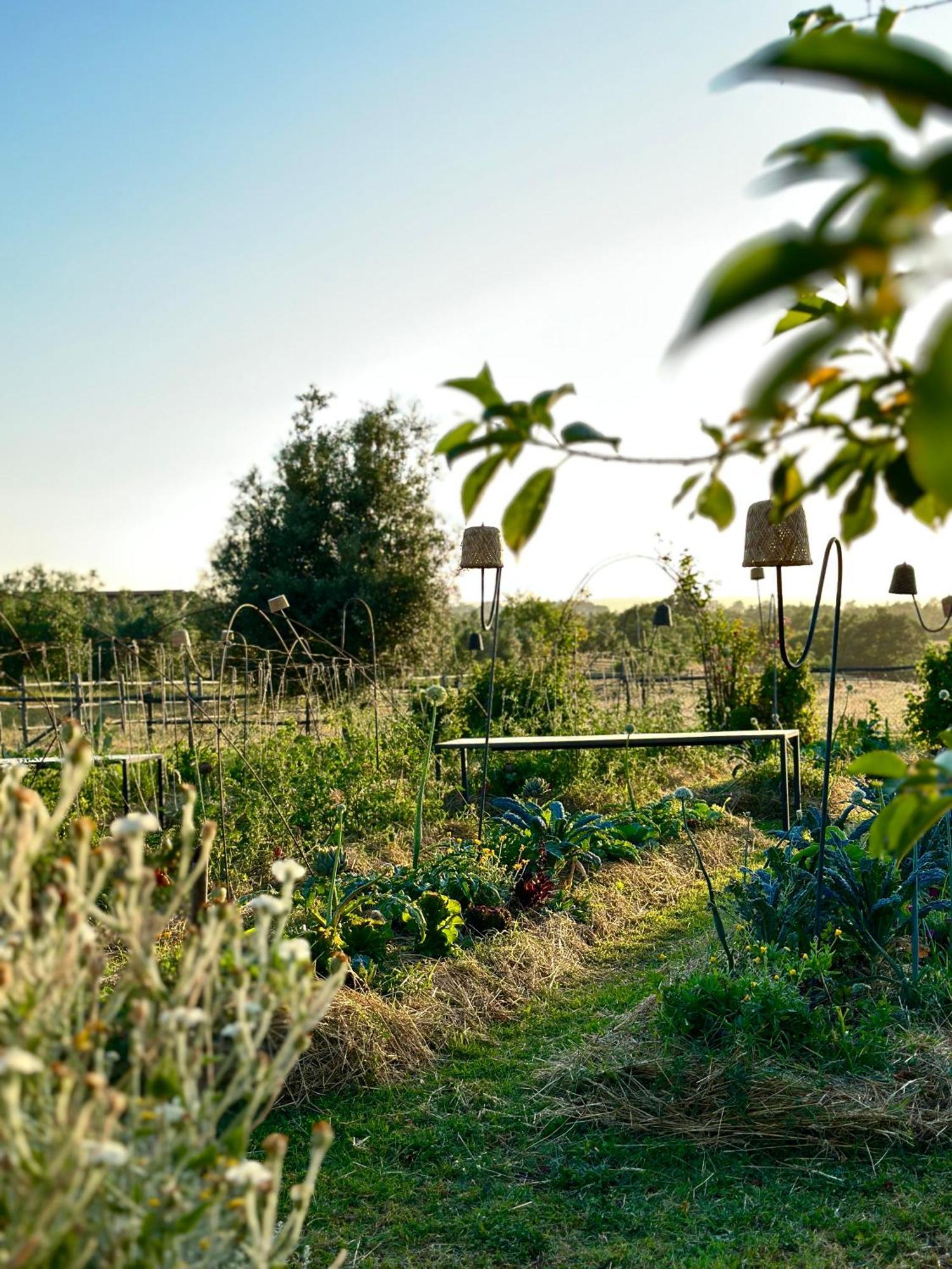 Tenuta Di Paternostro Vetralla Kültér fotó