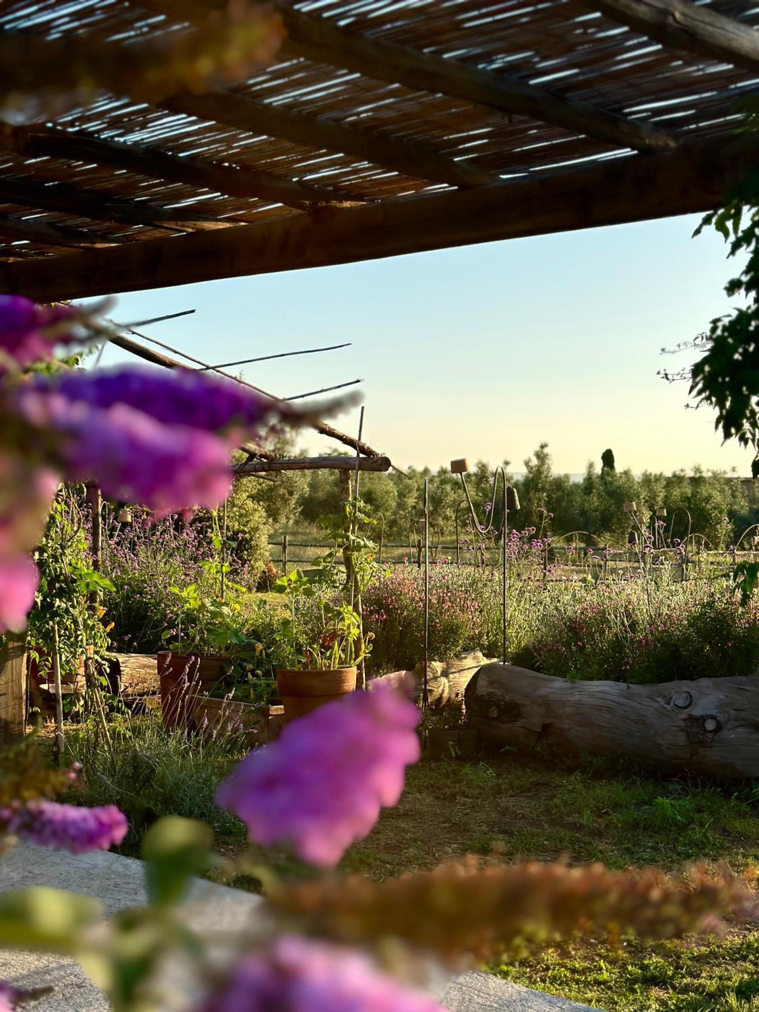Tenuta Di Paternostro Vetralla Kültér fotó