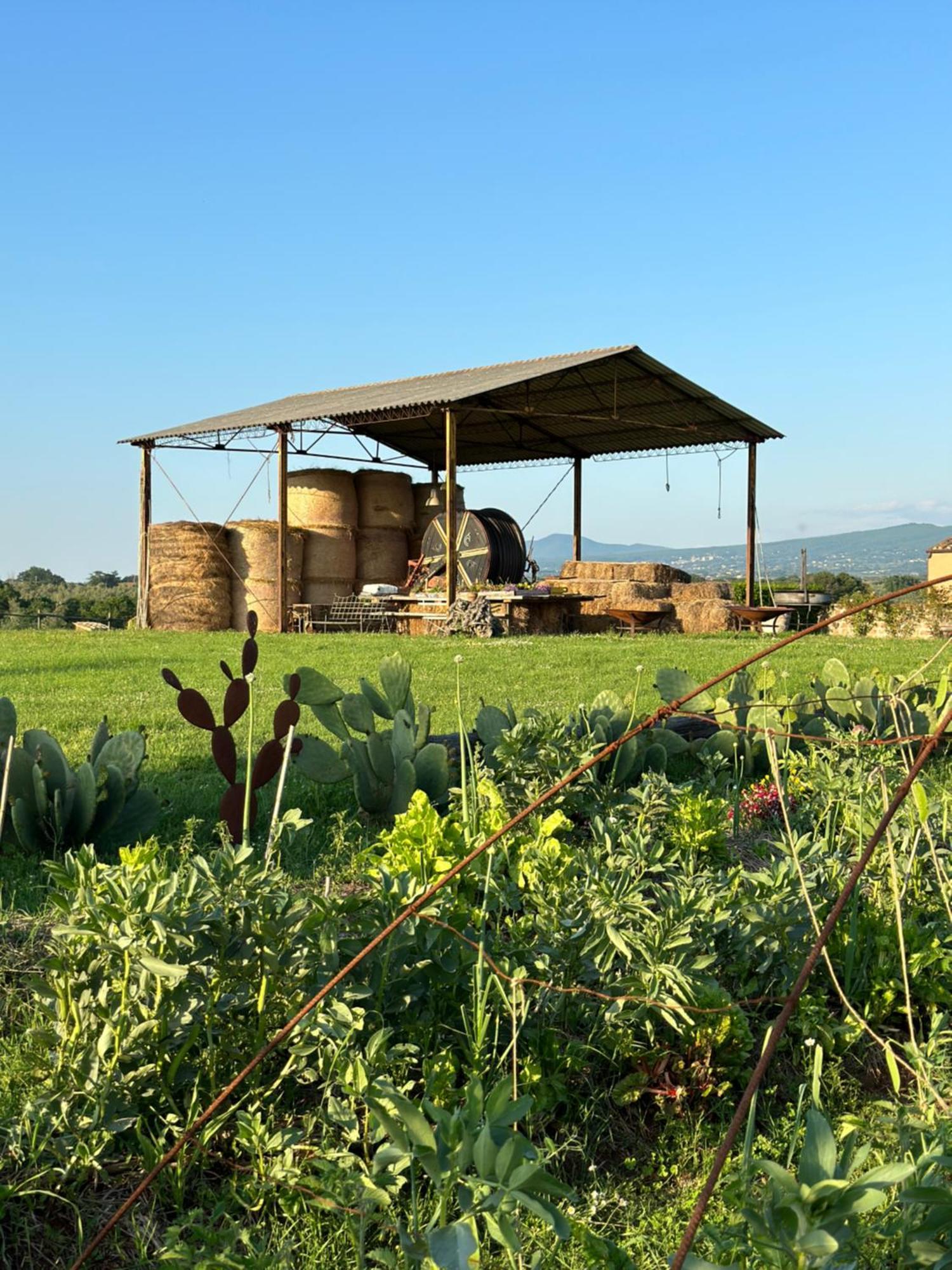 Tenuta Di Paternostro Vetralla Kültér fotó