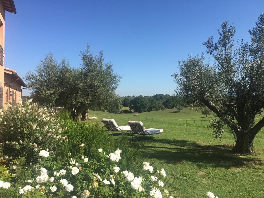 Tenuta Di Paternostro Vetralla Kültér fotó